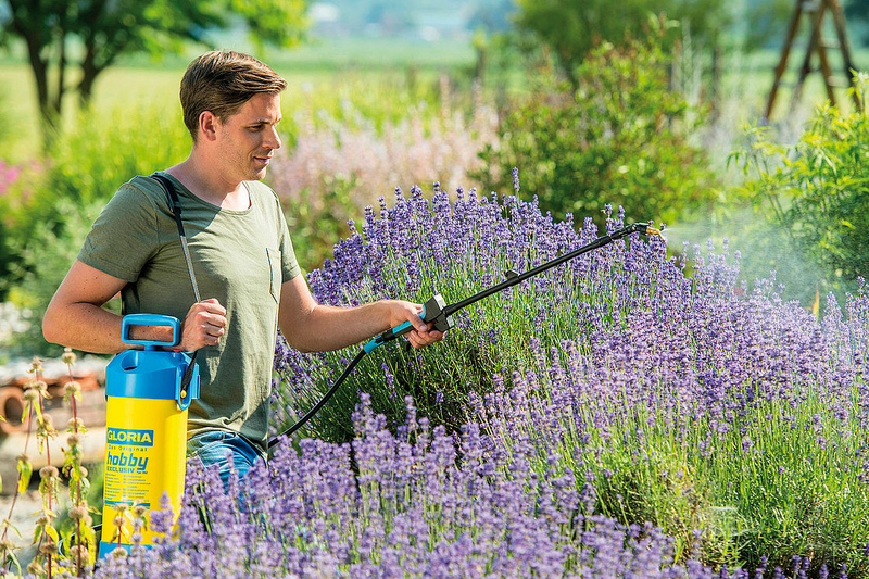 Geelink Ijzerwaren - gloria_drukspuit_hobby_exclusief_actiefoto1-t-800x533